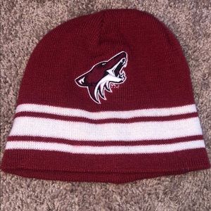 Arizona Coyotes hat